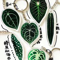 Orange Star Gao Klein Crystal Flower Candle Pendant Trout Autumn Begonia Keychain Emperor Shield Leaf Hot Plant Around