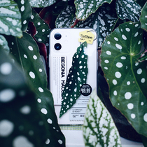 Orange Star Gao Original Trout Begonia Mobile Phone Case Apple 13pro Transparent Protective case Net Red Hot Plant Around