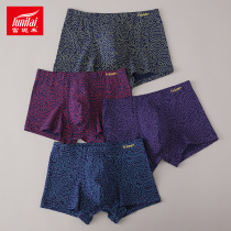 4 Funilai panties Mens Modal cotton breathable mid-waist boxer shorts Youth Modal large size boxers