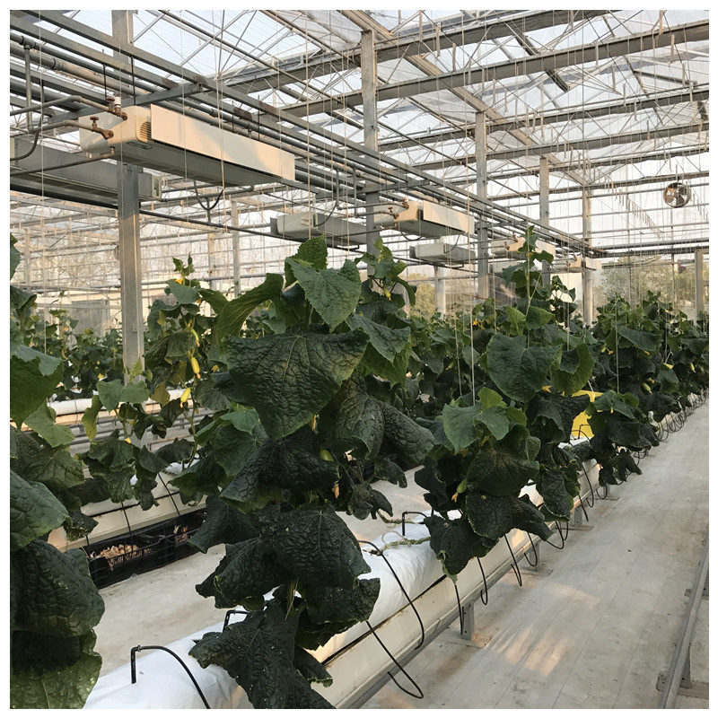 无土栽培基质种植条,瓜果蔬菜美植袋,长条椰糠基质栽培育苗条,轻松在家享受绿色种植乐趣🌿🌱-种植盆-淘宝百科网