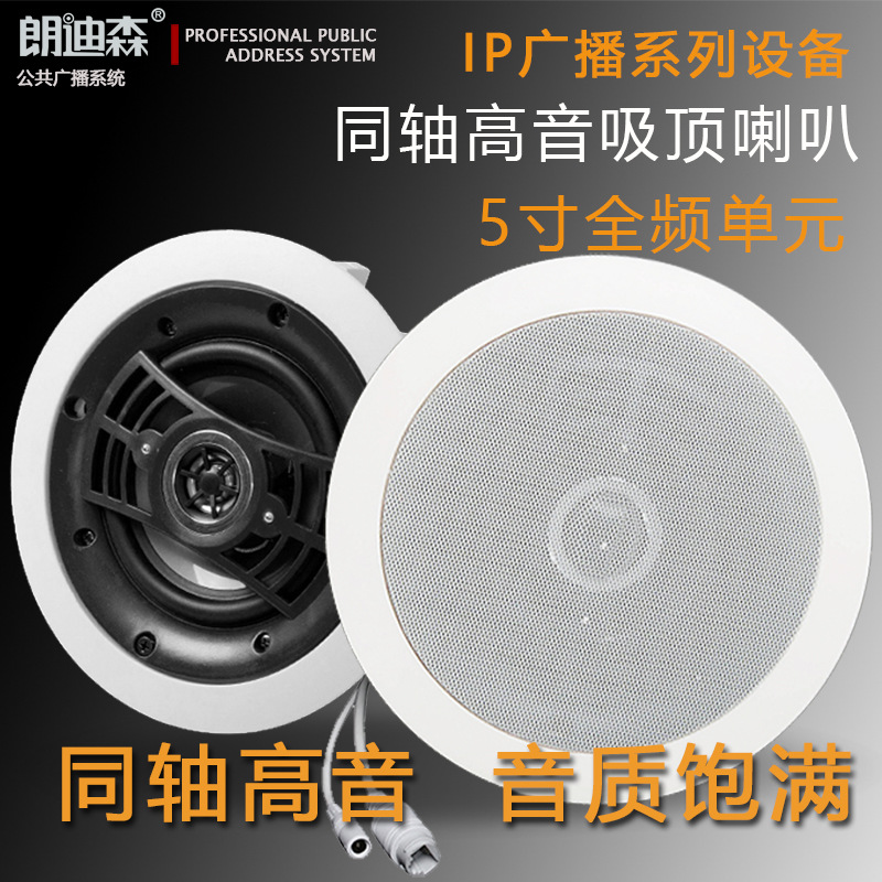 Rondison IP Digital Internet Broadcast smallpox ceiling Coaxial High Fidelity Sound System 20W suction of the horn