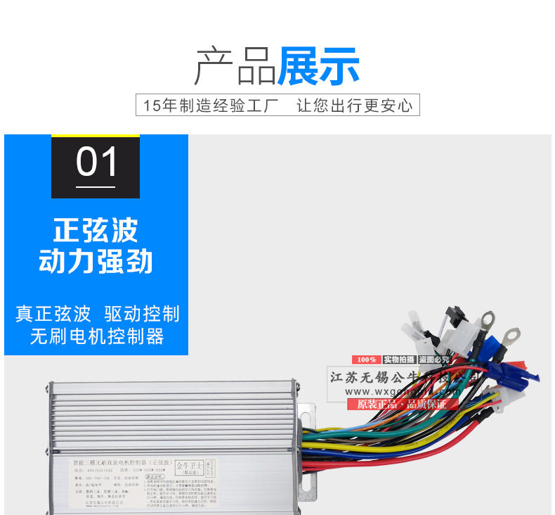 x12g21.jpg
