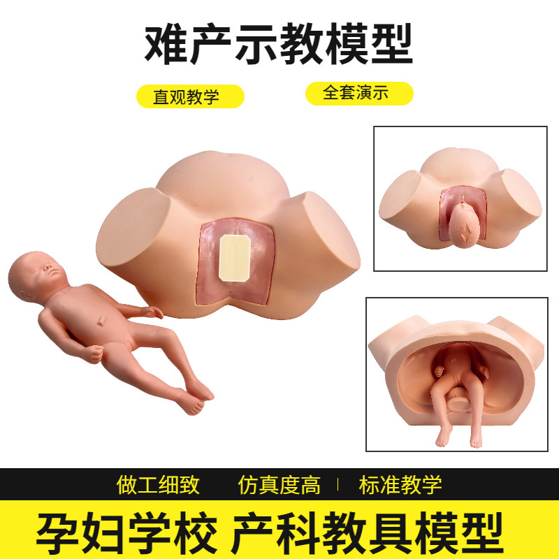 助产示教模型难产培训模拟 助产医生护士培训妇产科胎儿教学模型