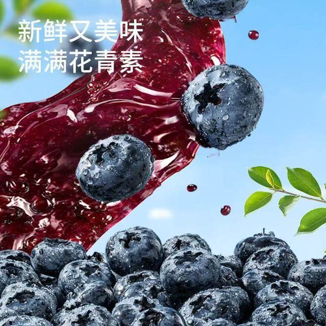 Three Squirrels Organic Blueberry Jam 150Gx1 Box Healthy Organic Nutritious Healthy Blueberries Great Value