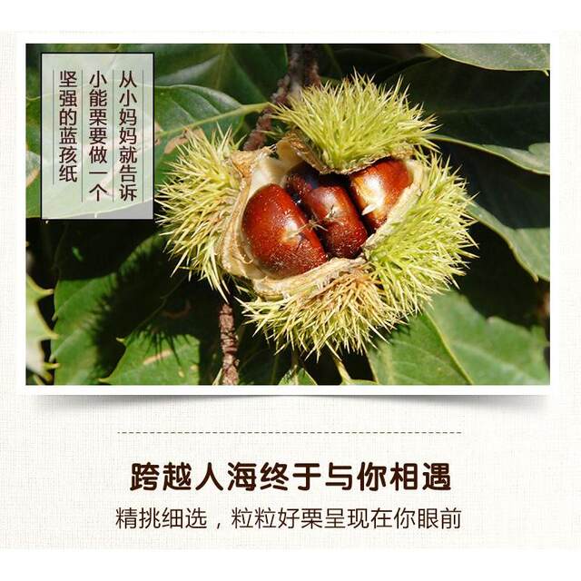 Three Squirrels Open-Shell Chestnuts 120g Bagged Specialty Nuts with Shell, Chestnuts, Snacks, Leisure Snacks