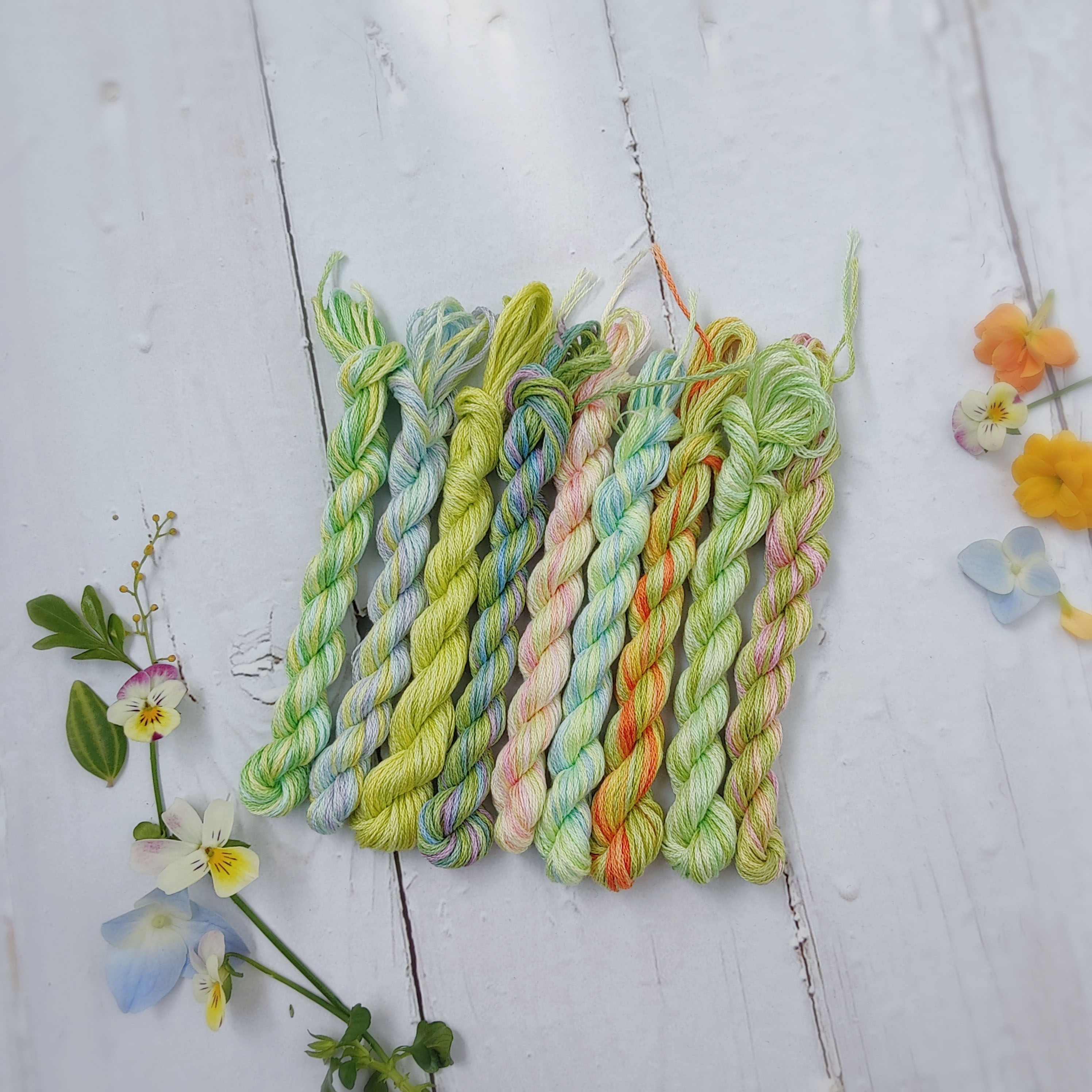 Small Forest] Four Seasons Hand-Dye Gradient No. 25 Embroidery Thread Cross Stitch Thread (Spring)