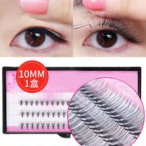 Grafting eyelashes set beginner open eyes fake beauty eyelashes single cluster segmented fairy hair eyelashes C