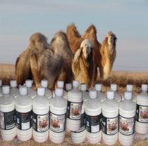 30 pounds of freshly squeezed camel milk pure milk SF air transport Xinjiang Kazakh pasture direct supply of camel raw milk