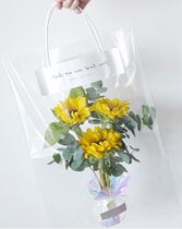 Little gardener pure age transparent tote bag shaking net red ins flower bag Flower packaging bouquet bag Single support bag