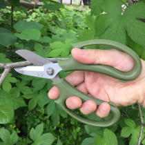Floral scissors Super sharp wide head scissors Flower flower scissors Floral artist branch scissors Repair flower pruning tool