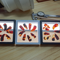 Custom Guzheng Nail Manicure Hawksbill Color Natural Gold Chia Half-moon College Professional Adult Arts Exam Thickened Large Number Booking