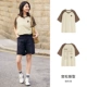 C Color Coffee 00355