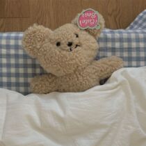 Cute Little Bear Plush Doll Briefe Key Button Birthday Gift 520 to send boy girlfriend couple a pair of special