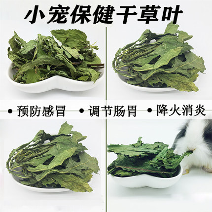 Small pet snacks fresh dry mint leaves mulberry leaves chicory grass dandelion hay rabbit chinchilla clear heat and fire standing