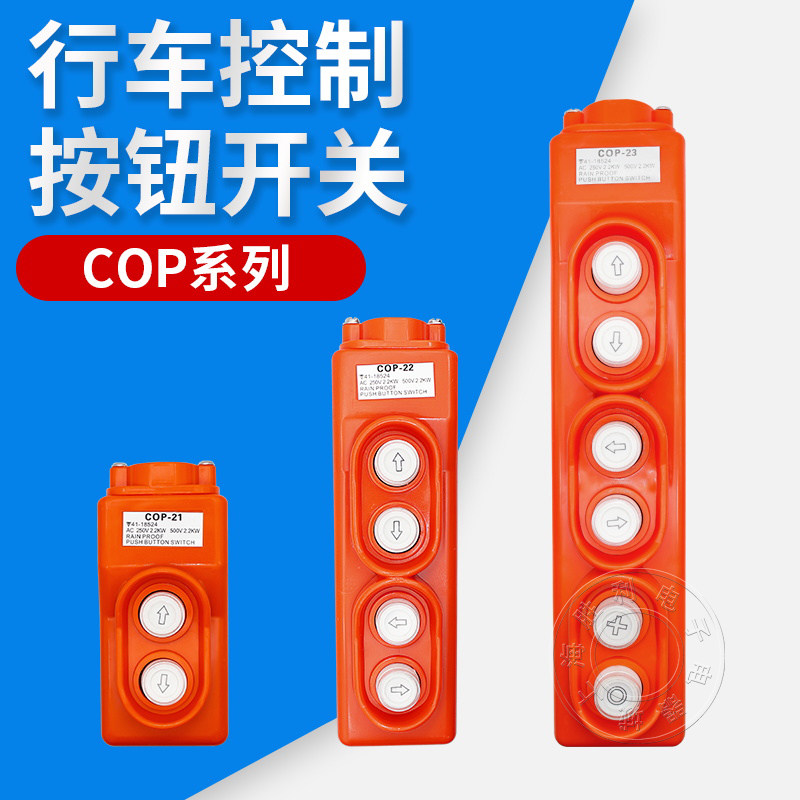 COP-21 direct control switch 250V voltage on the lower button to directly control the electric crane