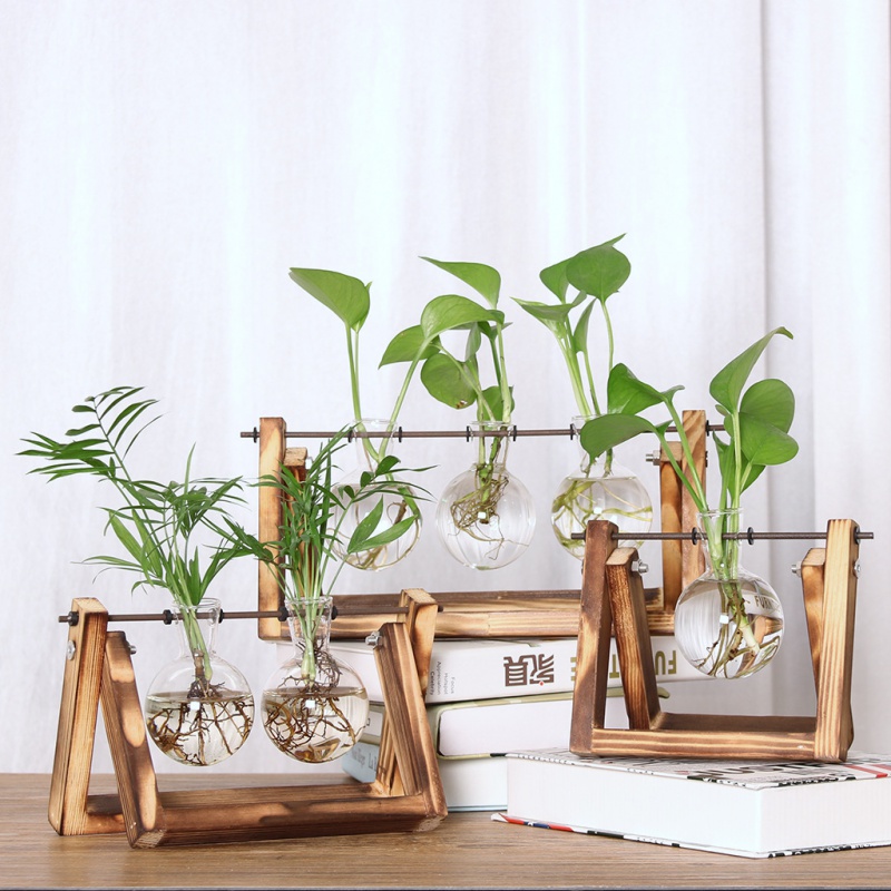 ins hydroponic plant transparent wooden frame vase table top small fresh container living room modern ornament ornaments