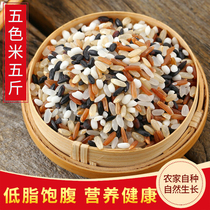 Northeast Dogu rice 5 catty black rice Glutinous Rice Red Rice Brown Rice Brown Rice Brown Rice Brown Rice Brown Rice Brown Rice Brown Rice Brown Rice Brown Rice Brown Rice Brown Rice