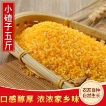 2021 Northeast New Xiaoduzi 5 Jin Heilongjiang farmers self-produced corn scum porridge miscellaneous grains corn grits