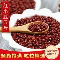 2021 Dongbei New Red Bean 5 catty Heilongjiang Hongdou Farmers self-produced selected small red bean five cereals Cereals Mixed Grain Honey