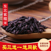 2021 Purple Rice Farmers Self-produced Purple Glutinous Rice Selection 500g Fresh Blood Glutinous Rice Cooking Congee Rice Coarse Rice Coarse Grain Rice