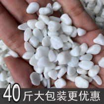 White stone white cobblestone courtyard paving ground small white stone dry landscape small white stone factory direct sales