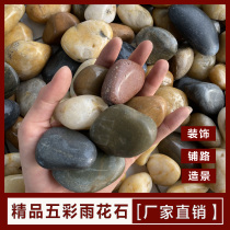 White Polished Pebble multicolored rain flower stone courtyard garden landscape natural size stone raw stone goose soft warm stone