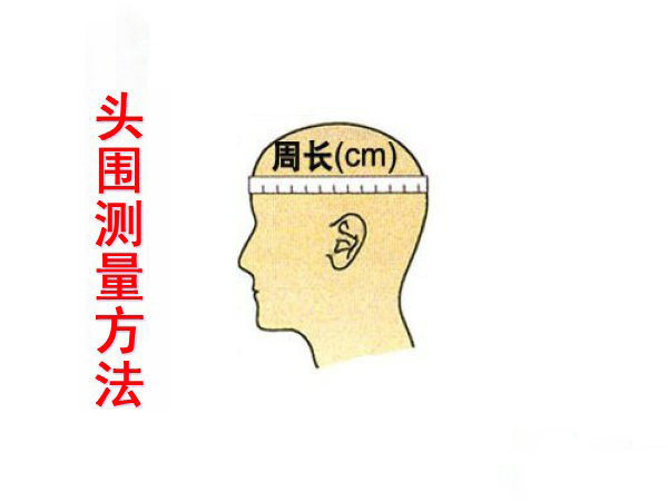 Article sports equestres - Ref 1379385 Image 33