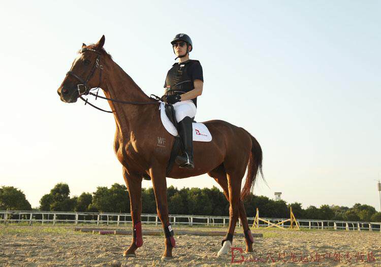 Article sports equestres - Ref 1381442 Image 20