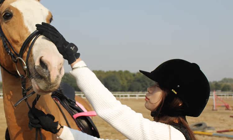 Article équitation - Ref 1381327 Image 19