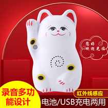 Wireless shop welcomes guest sensor recruit cat recordable doorbell China knot