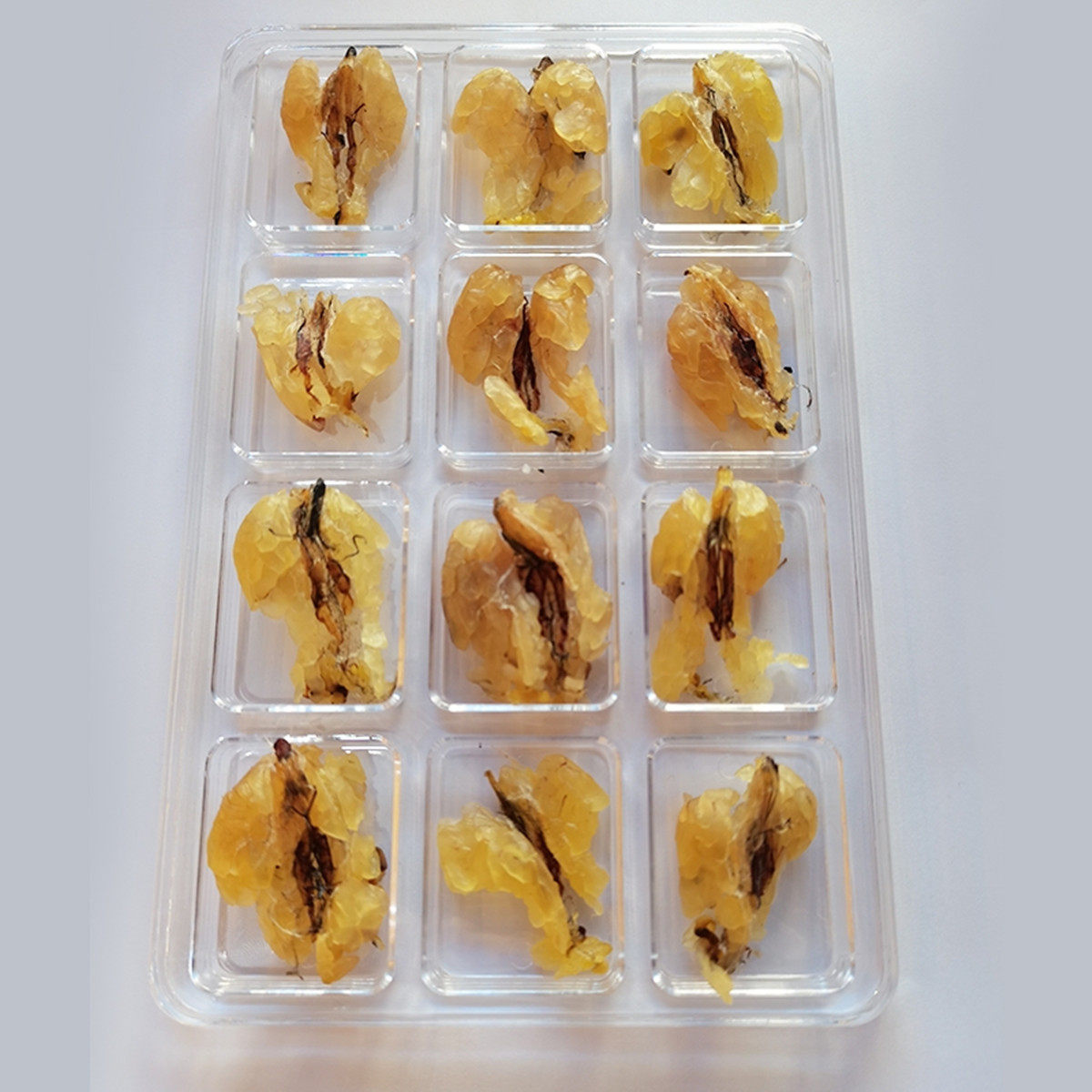 Snow clam oil oil toad oil foot dry boutique bulk conjoined frog oil it snow clam products forest frog Northeast snow clam ready-to-eat