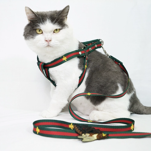 Прилив прилив прилив питомец с выдвижной веревочной жилет