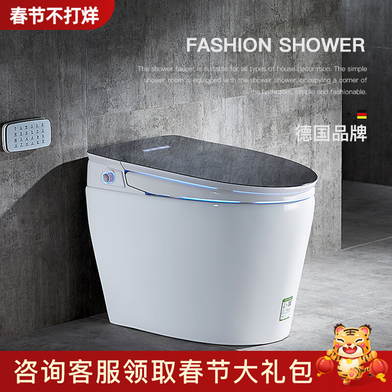 Dronstine integrated smart toilet fully automatic no water pressure limit small size electric toilet