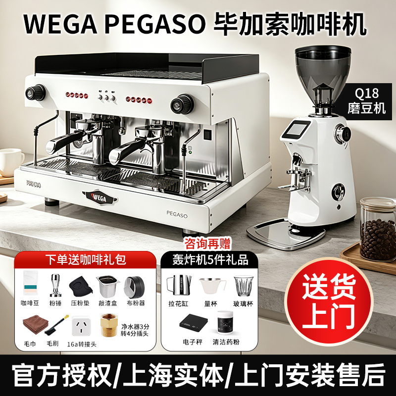 Wega Picasso Pegaso Brand New Original Imported Semi-Automatic Italian Commercial Coffee Machine E61 Single Head Double Head Wega Picasso Pegaso Brand New Original Imported Semi-Automatic Italian Commercial Coffee Machine E61 Single Head Double Head