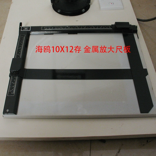 Шанхайский мост -гоя в мосту с черно -белым магнитом