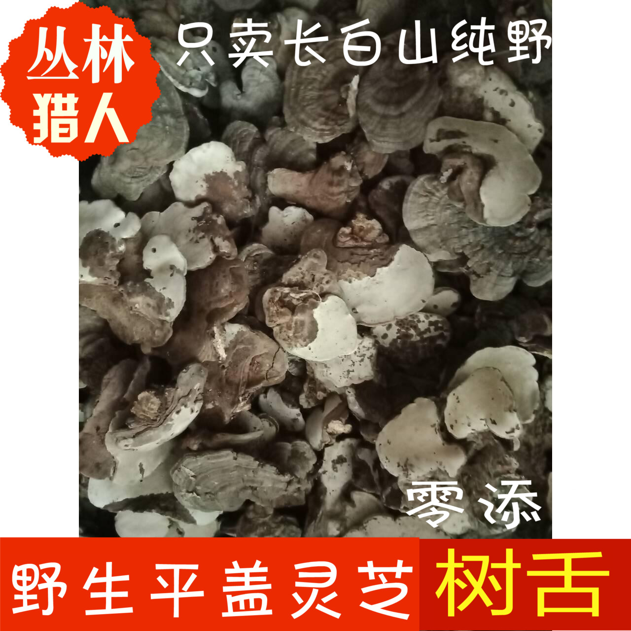 Wild Pinggai Ganoderma lucidum Changbai Mountain tree tongue flat wood Linzhi green branches whole scraps 2500 grams of scraps