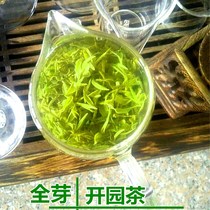 Rizhao Green Tea 2021 open garden sprouts new tea Bulk bag fried youth tea 500g Rizhao Green Tea