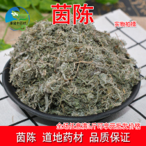 500g new wild Chinese herbal medicine wormwood March Chen Jin wormwood wormwood tea wormwood wormwood wormwood wormwood wormwood wormwood wormwood wormwood wormwood wormwood wormwood wormwood wormwood wormwood wormwood wormwood wormwood wormwood