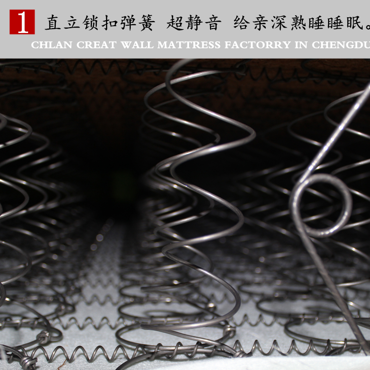 Wei Lan nệm chính thức loạt Lanting xác thực Muốn đầu nệm ấm Simmons Flex chức năng kép xơ dừa nệm - Nệm nệm cao su kymdan