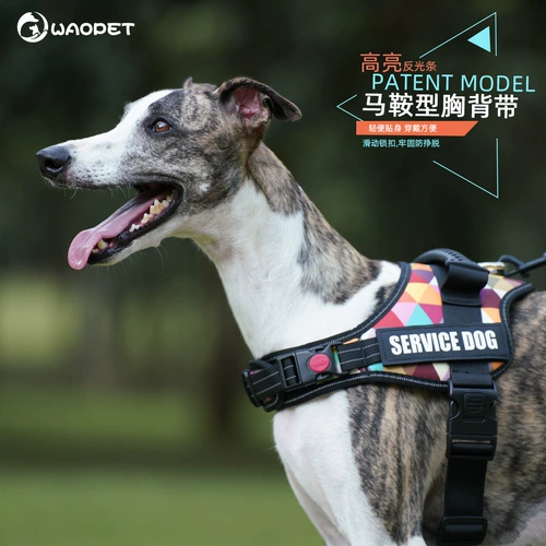 Держатель на груди для собаки, детская сумка, борзая, уиппет, маленькая собака, большой ошейник для собаки, поводок, веревка, плечевой ремень, ночные светоотражающие товары для домашних животных