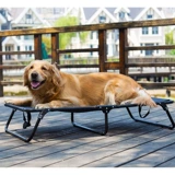 Переходная кровать собаки в больших собаках за четыре сезона четырех сезонов, разборка золотые средства для мытья волос летом летом