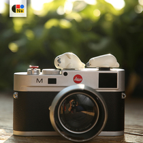 N PARK Hiace Fatty Original Camera Creative Hot Shoe Cover Hot Shoe Protective Cover