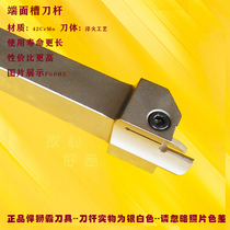 Tough Lion End-Face knife Blade FGDHX2525M1520 2025 2530 3035 3548 4860-3 4 5