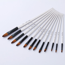 12 shell white rod tongue peak Nylon hair gouache Watercolor pen Acrylic brush Art brush