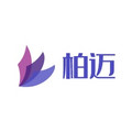 柏迈安防监控厂家的LOGO