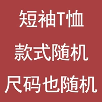 Случайная T -Frish