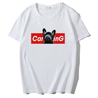 Высокомерная собака белая