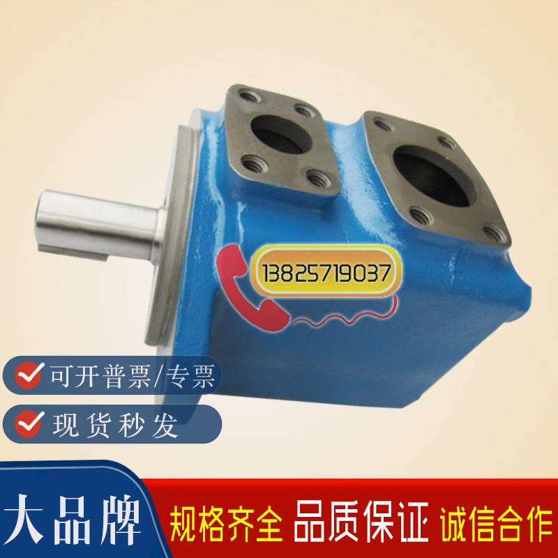 Hydraulic pump hydraulic pump 25V-21A-1B-22R oil pump core maintenance accessories