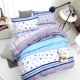 Mùa đông dày twill chà nhám chăn ấm đơn chăn ga đẹp