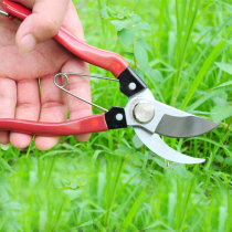 German fruit tree grape pruning shears knife flower scissors horticulture German lion treasure imported scissors tree branch scissors